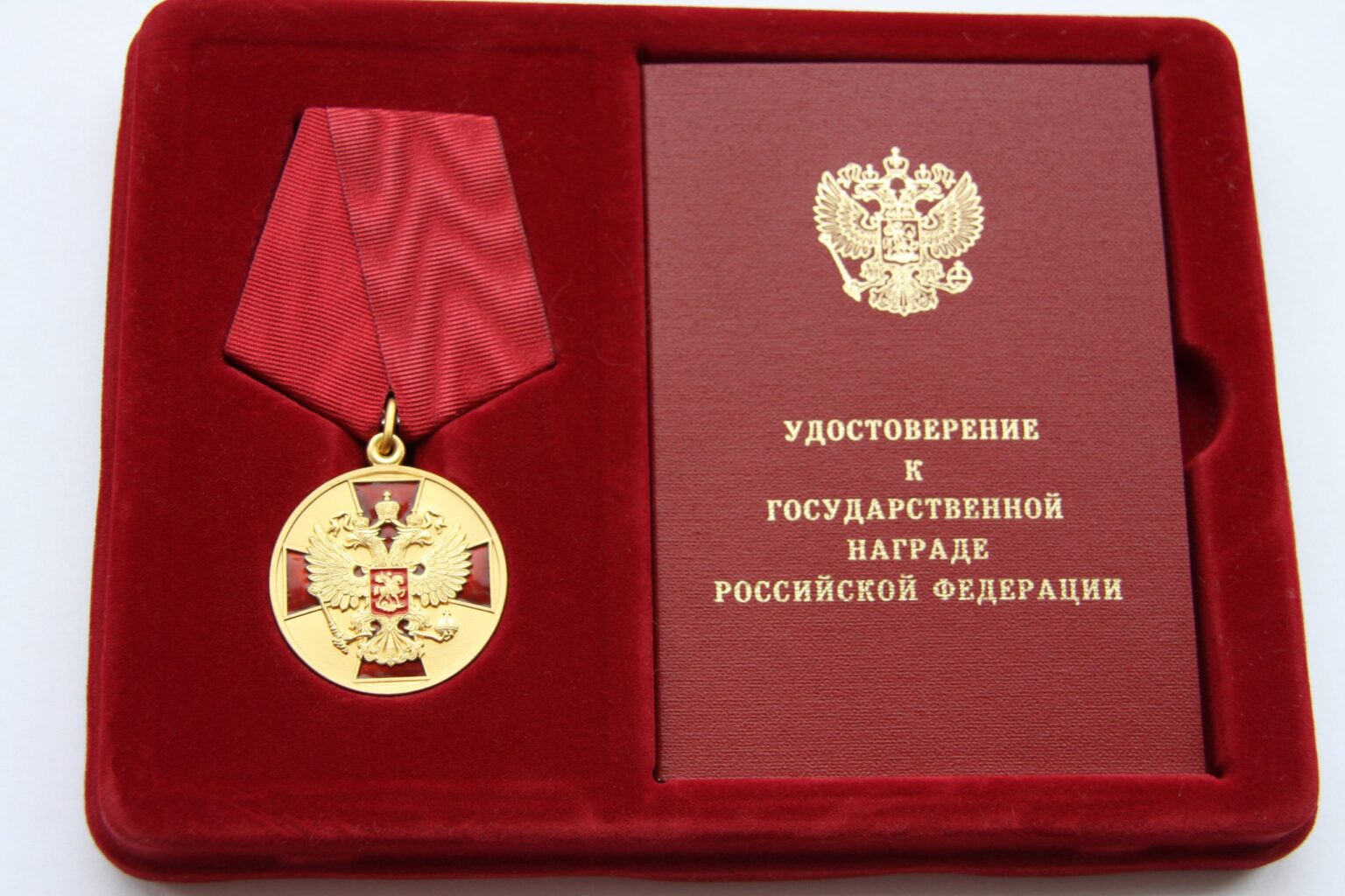 Белгородские писатели награждены медалью ордена «За заслуги перед Отечеством»