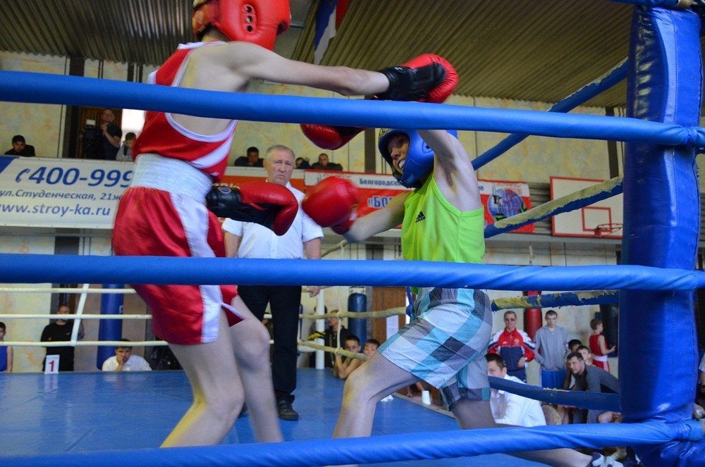 В Белгороде прошел турнир по боксу среди юношей  памяти Ватутина Н.Ф.